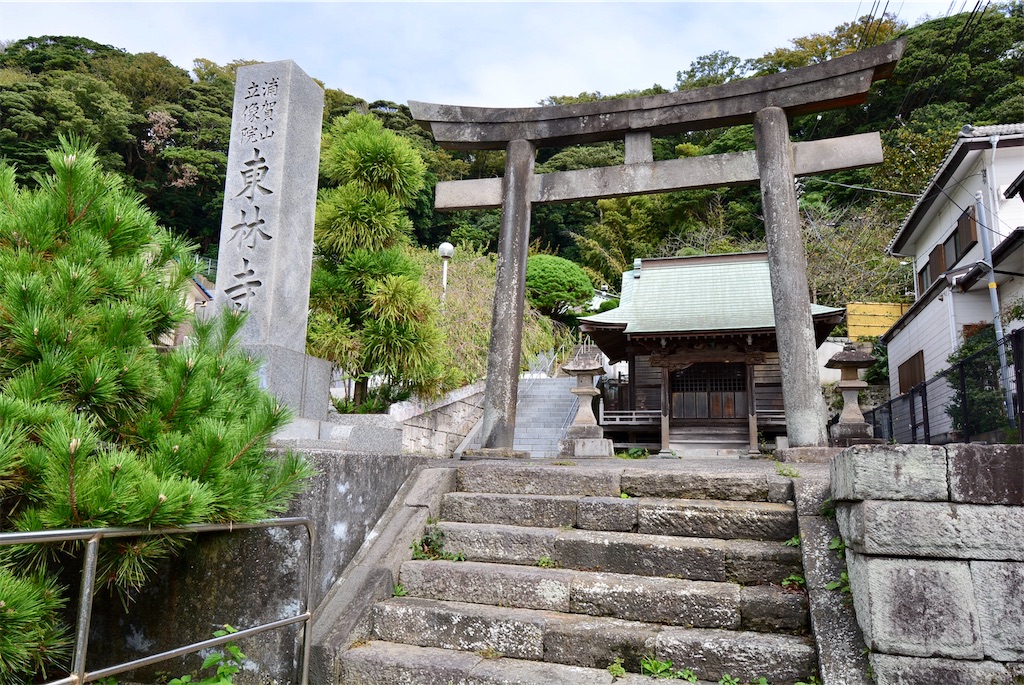 f:id:mondo7:20201206191728j:image f:id:mondo7:20201206191728j:image