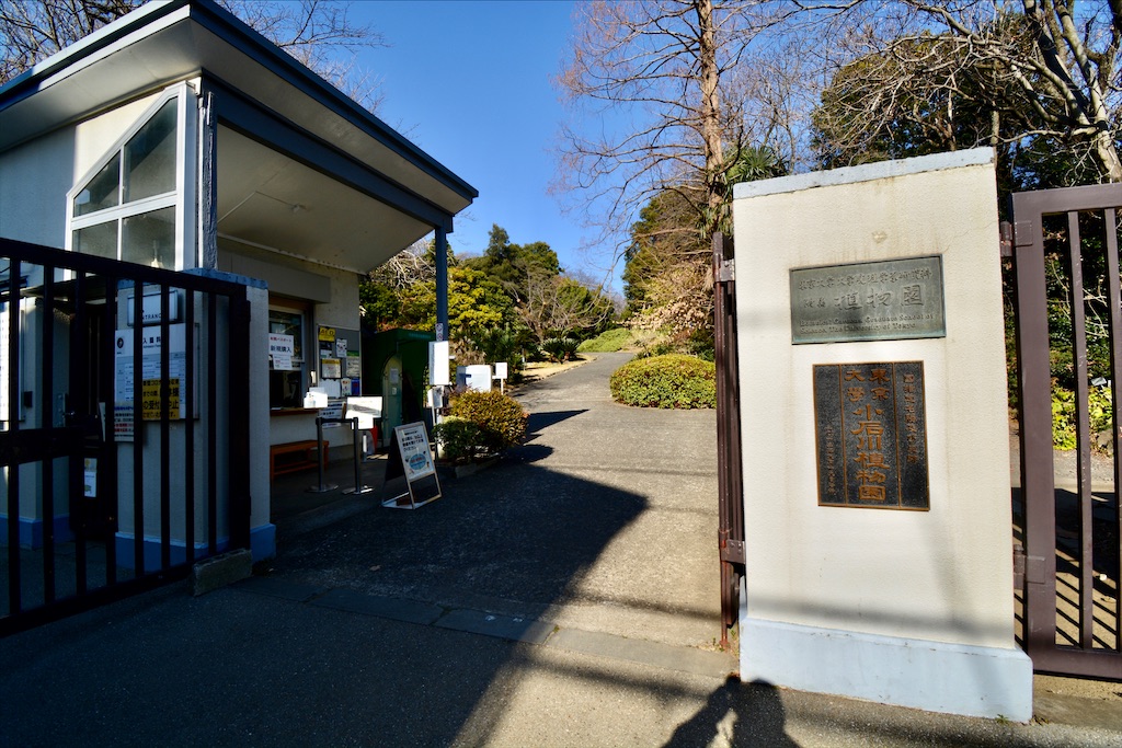 f:id:mondo7:20210221165613j:image f:id:mondo7:20210221165613j:image