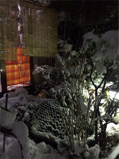 f:id:moneco:20180123014538j:image f:id:moneco:20180123014538j:image