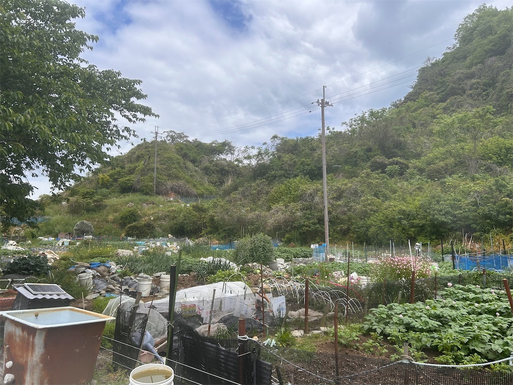 f:id:moneysetuyaku:20250512120114j:image