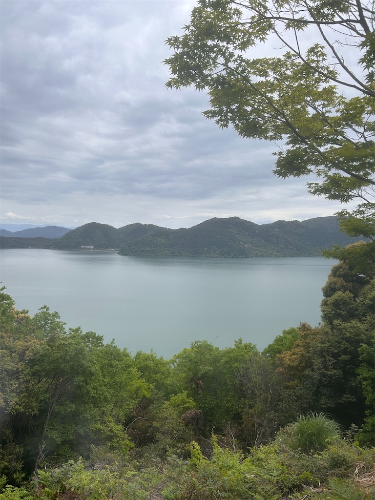 f:id:moneysetuyaku:20250512120527j:image