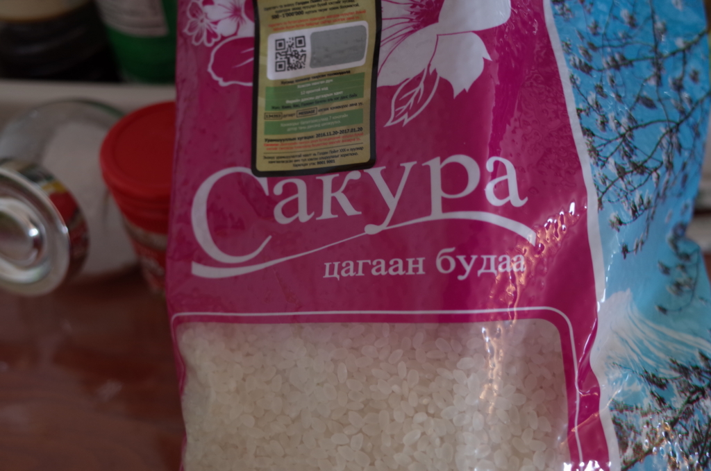 f:id:mongolia28:20170208124713j:plain