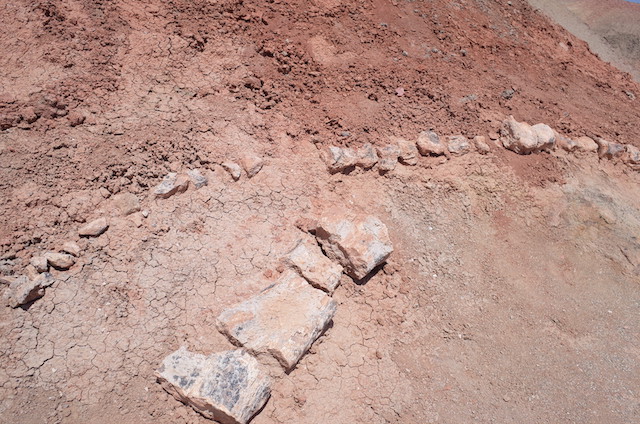 f:id:mongolia28:20170623164746j:plain f:id:mongolia28:20170623164746j:plain