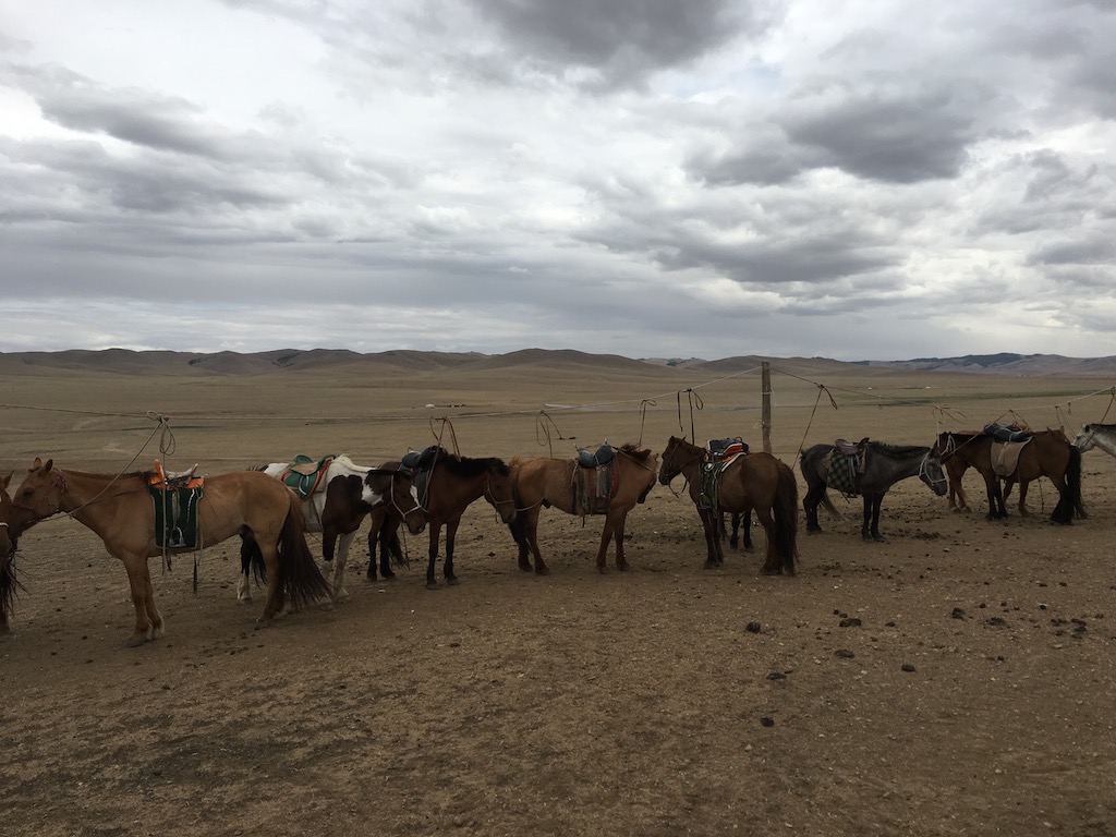 f:id:mongolia28:20170625165114j:plain f:id:mongolia28:20170625165114j:plain