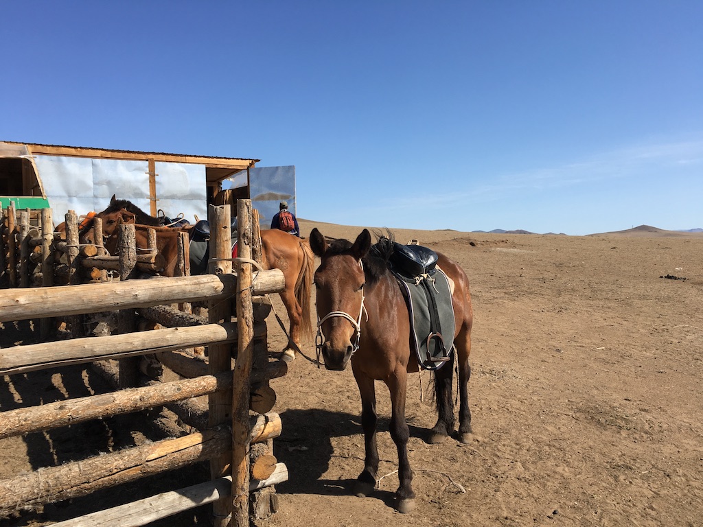 f:id:mongolia28:20170625171244j:plain f:id:mongolia28:20170625171244j:plain