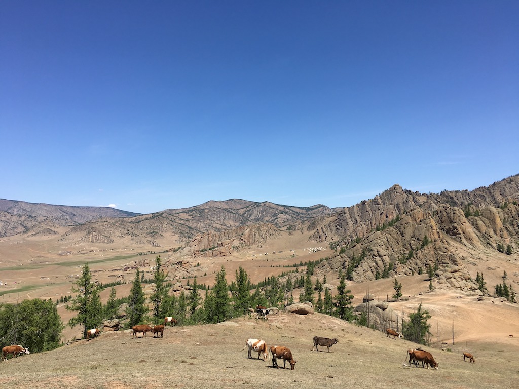 f:id:mongolia28:20170625172356j:plain f:id:mongolia28:20170625172356j:plain