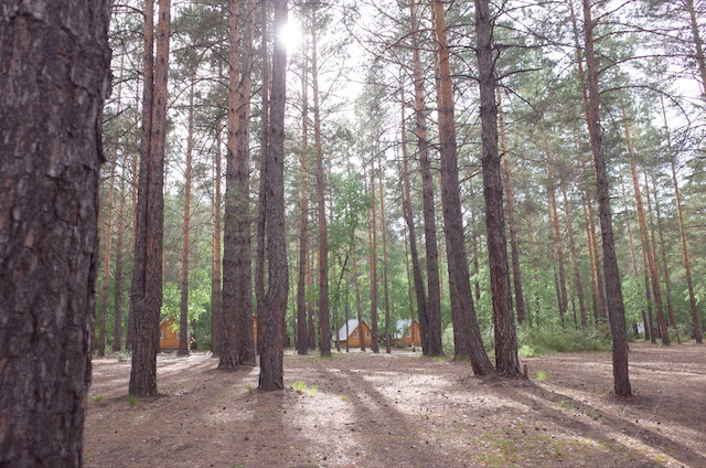 f:id:mongolia28:20170707122929j:plain