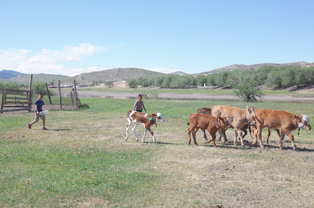 f:id:mongolia28:20170707132903j:plain