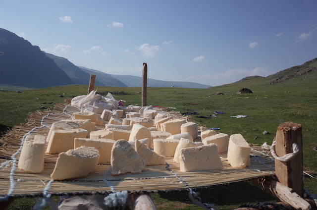 f:id:mongolia28:20170827153054j:plain f:id:mongolia28:20170827153054j:plain