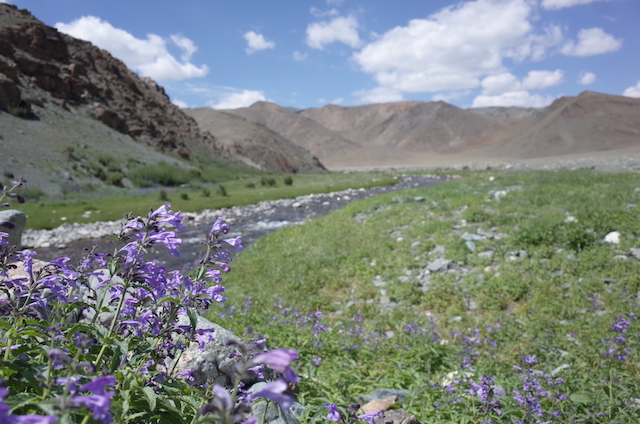f:id:mongolia28:20170827160401j:plain f:id:mongolia28:20170827160401j:plain