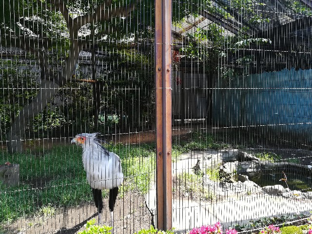 f:id:mongolyassan:20180424080251j:image f:id:mongolyassan:20180424080251j:image