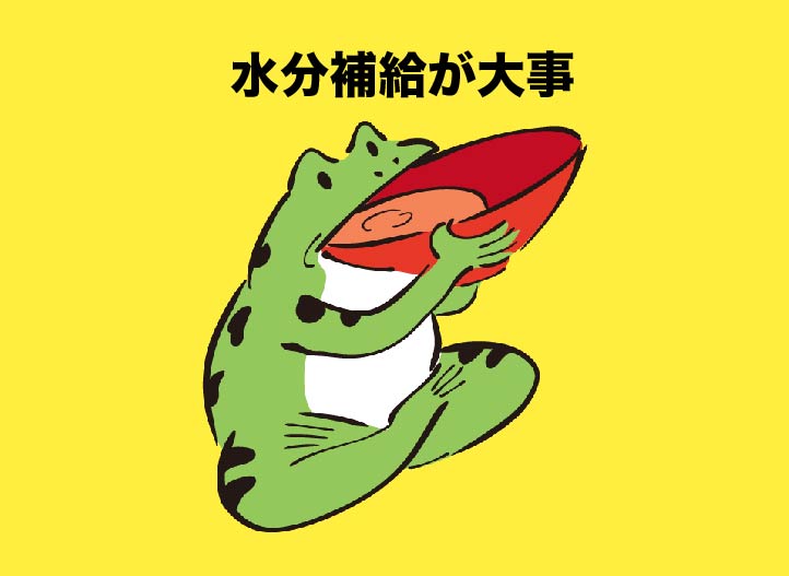f:id:mongorichop:20181018150329j:plain f:id:mongorichop:20181018150329j:plain