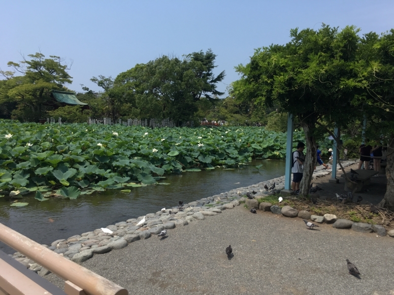 f:id:monhime:20180808145525j:plain f:id:monhime:20180808145525j:plain