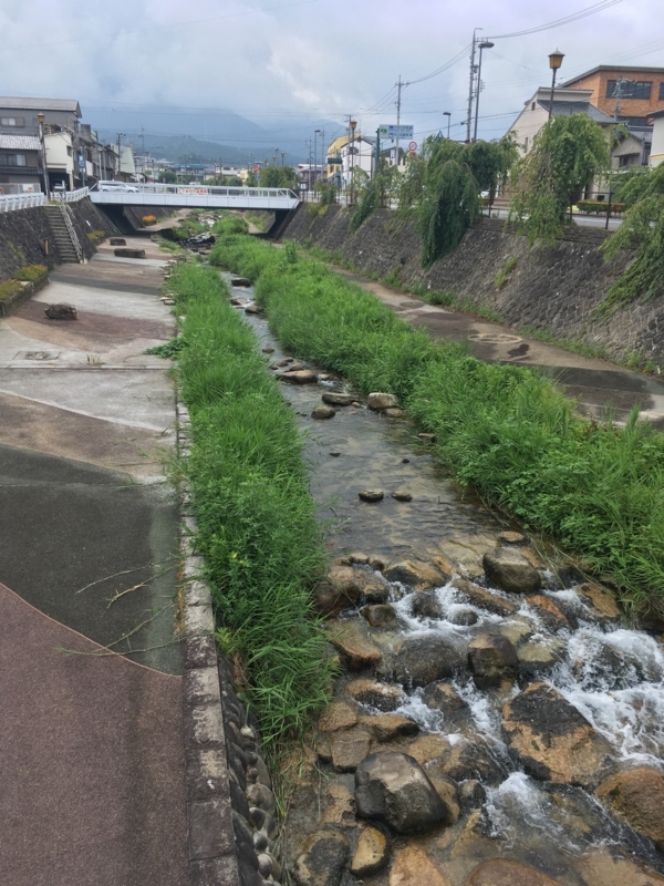 f:id:monhime:20180808151234j:plain f:id:monhime:20180808151234j:plain