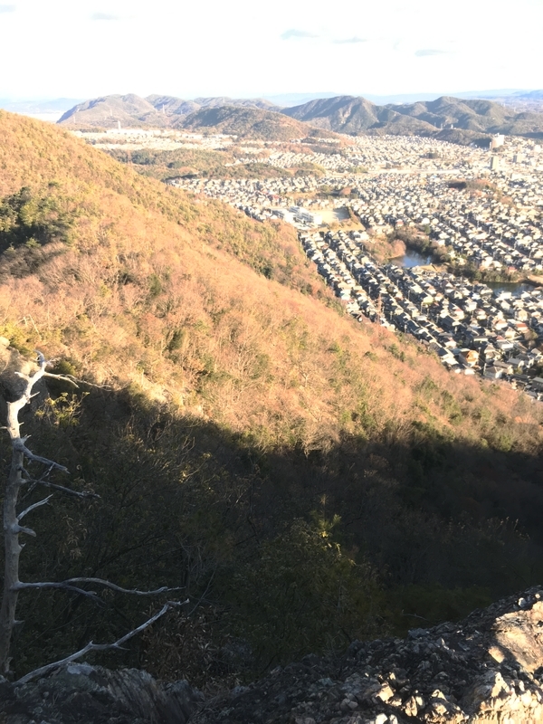 f:id:monhime:20190103073750j:plain f:id:monhime:20190103073750j:plain