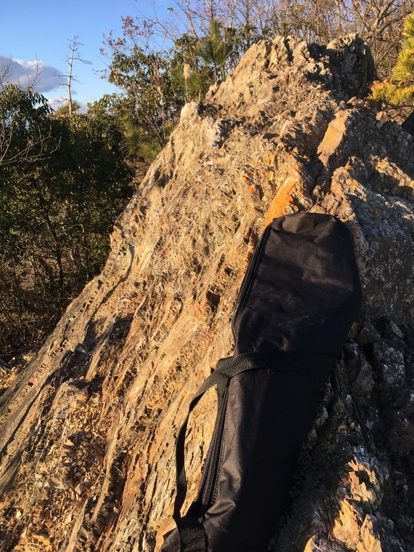 f:id:monhime:20190103073751j:plain f:id:monhime:20190103073751j:plain