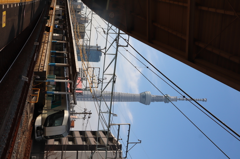 f:id:monhime:20190225180205j:plain f:id:monhime:20190225180205j:plain