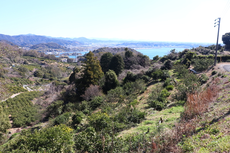 f:id:monhime:20190324181701j:plain f:id:monhime:20190324181701j:plain