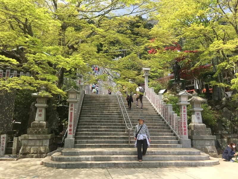 f:id:monhime:20190505083403j:plain f:id:monhime:20190505083403j:plain