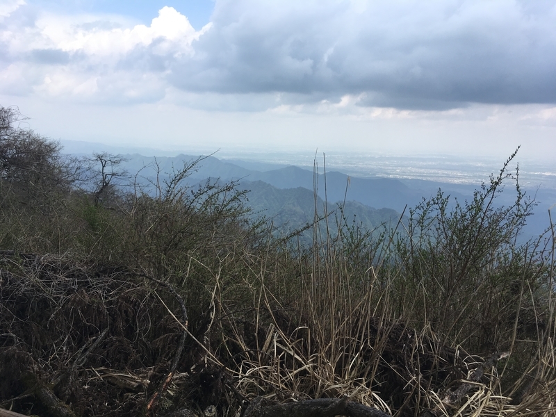 f:id:monhime:20190505083430j:plain f:id:monhime:20190505083430j:plain