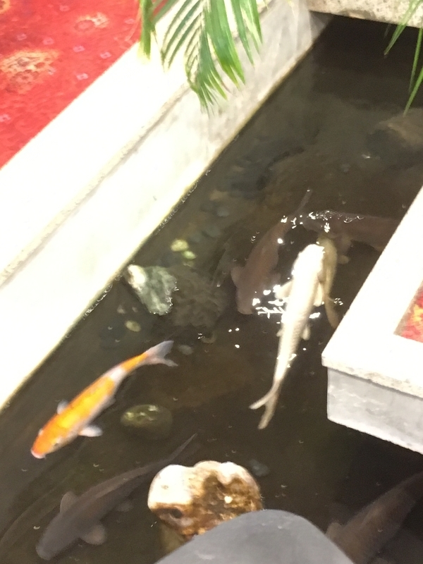 f:id:monhime:20190505083518j:plain f:id:monhime:20190505083518j:plain
