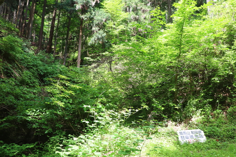 f:id:monhime:20190520083253j:plain f:id:monhime:20190520083253j:plain