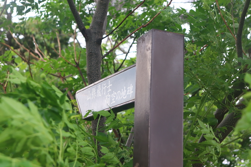 f:id:monhime:20190608204836j:plain f:id:monhime:20190608204836j:plain