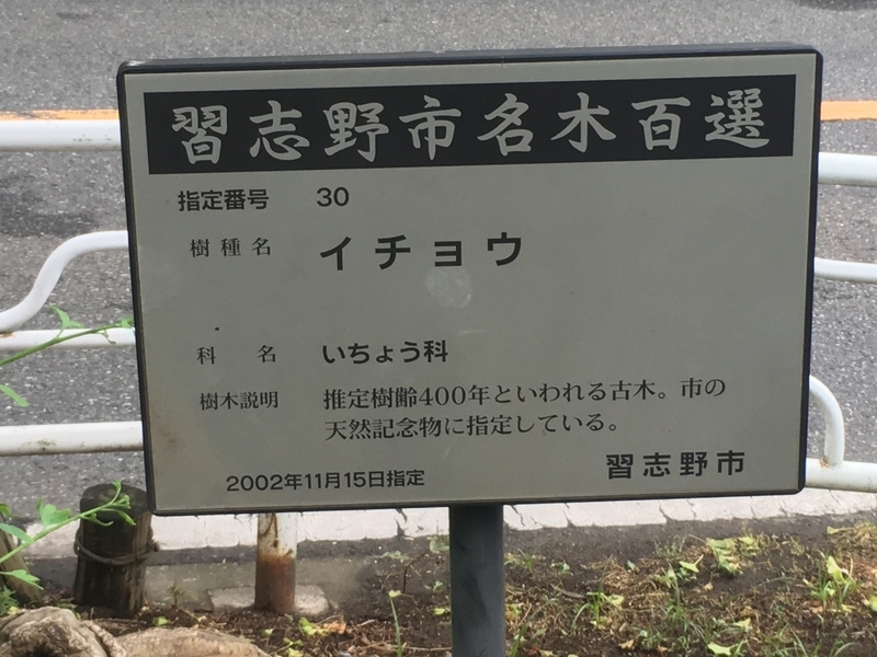 f:id:monhime:20190608204913j:plain f:id:monhime:20190608204913j:plain