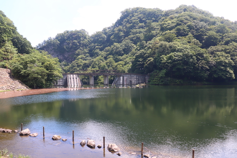 f:id:monhime:20190810071201j:plain f:id:monhime:20190810071201j:plain