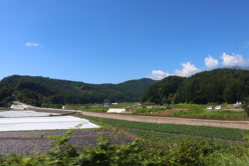 f:id:monhime:20190810074618j:plain f:id:monhime:20190810074618j:plain