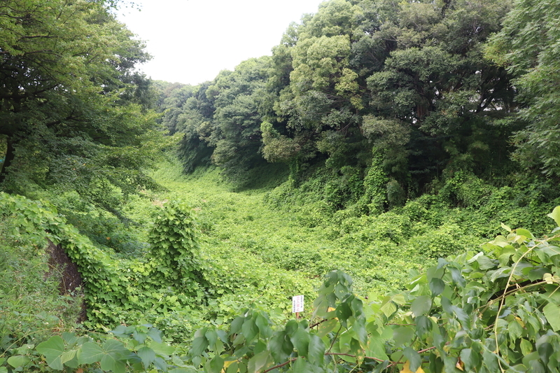 f:id:monhime:20190812073625j:plain 名古屋城外堀