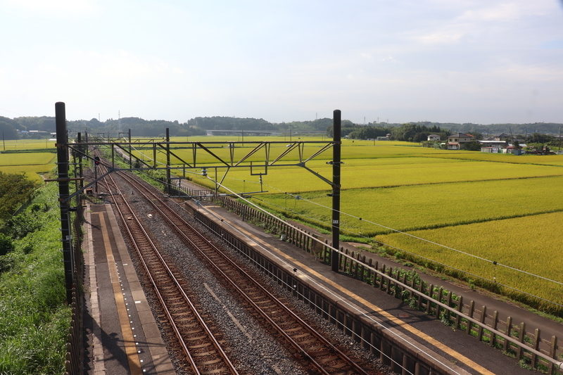 f:id:monhime:20190830113259j:plain f:id:monhime:20190830113259j:plain