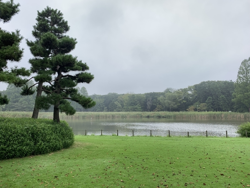 f:id:monhime:20190904103759j:plain 洞峰公園 池