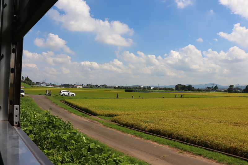 f:id:monhime:20190908130711j:plain f:id:monhime:20190908130711j:plain