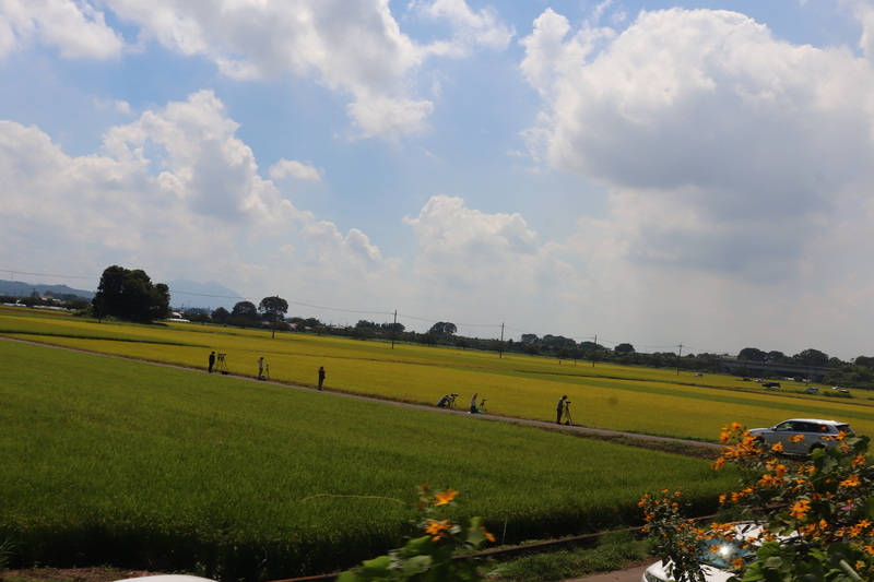 f:id:monhime:20190908130723j:plain f:id:monhime:20190908130723j:plain