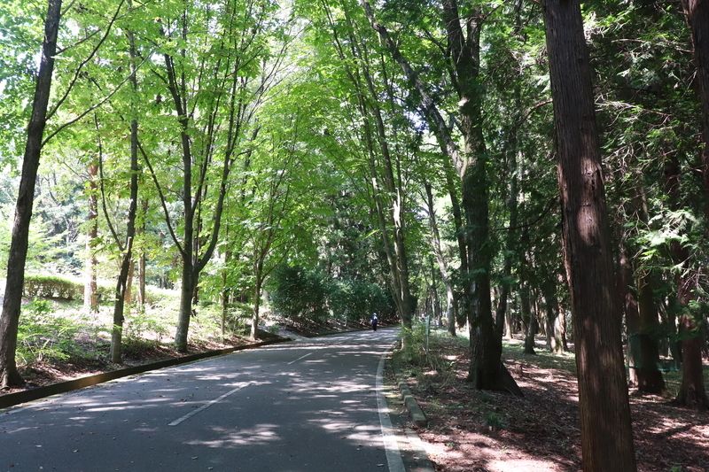 f:id:monhime:20190908131702j:plain 井頭公園