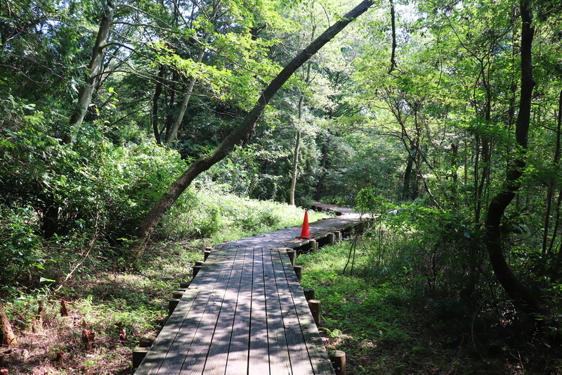 f:id:monhime:20190908131821j:plain 井頭公園