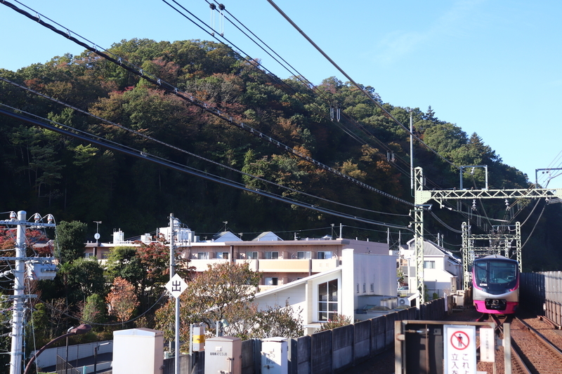 f:id:monhime:20191118080247j:plain 高尾駅 Mt.Takao号