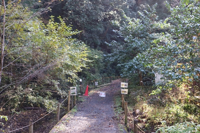 f:id:monhime:20191118091450j:plain 森林総合研究所 多摩森林科学園
