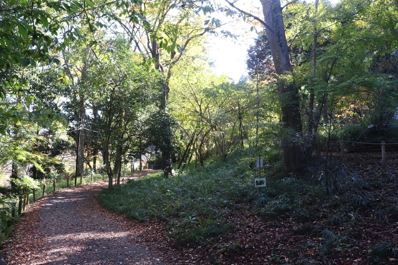 f:id:monhime:20191118091510j:plain 森林総合研究所 多摩森林科学園