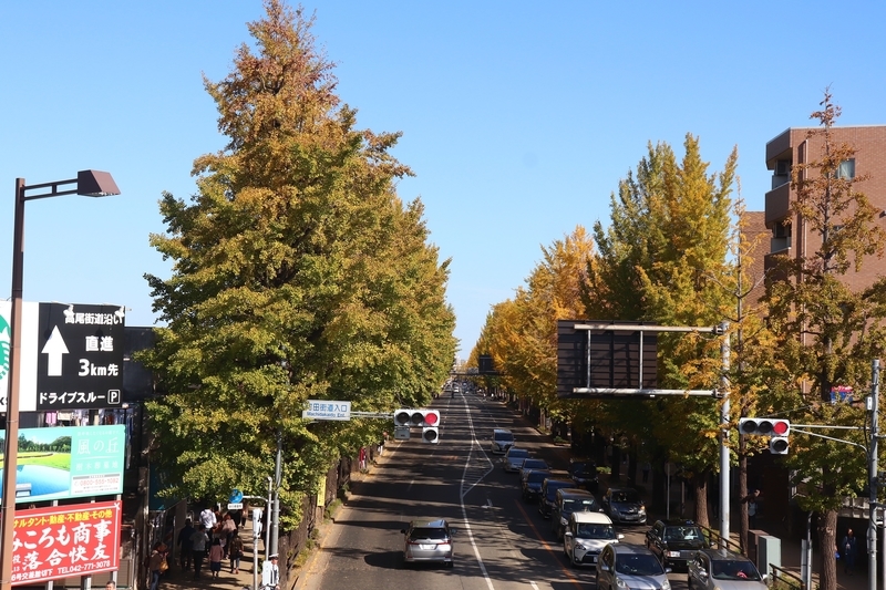f:id:monhime:20191118091753j:plain f:id:monhime:20191118091753j:plain