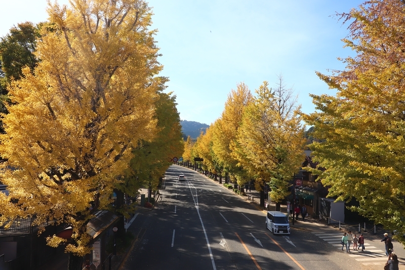 f:id:monhime:20191118091810j:plain f:id:monhime:20191118091810j:plain