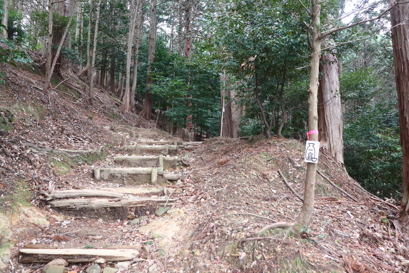 f:id:monhime:20200105100406j:plain:w500 南宮山 登山道