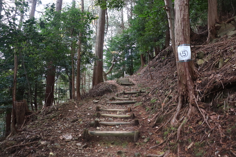 f:id:monhime:20200105100426j:plain:w500 南宮山 登山道