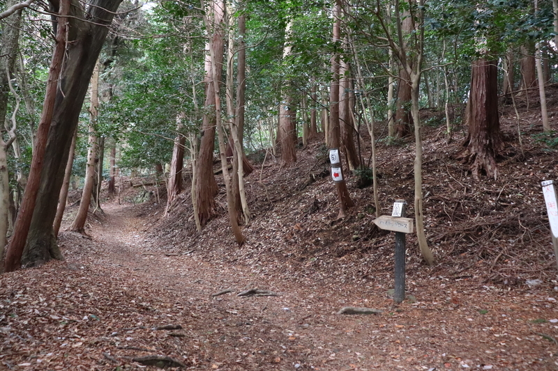 f:id:monhime:20200105100506j:plain:w500 南宮山 登山道
