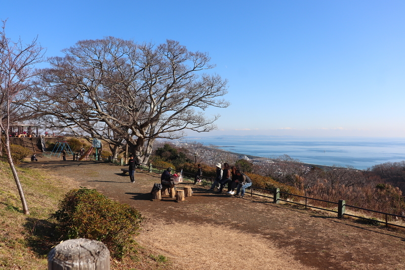 f:id:monhime:20200105102619j:plain 湘南平