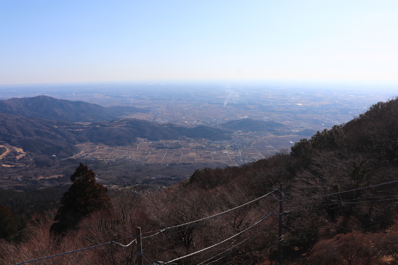 f:id:monhime:20200212154834j:plain f:id:monhime:20200212154834j:plain