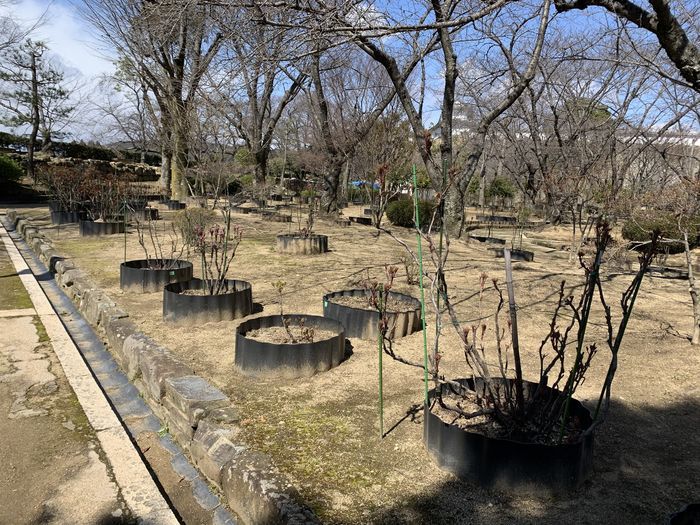 f:id:monhime:20200316130013j:plain f:id:monhime:20200316130013j:plain