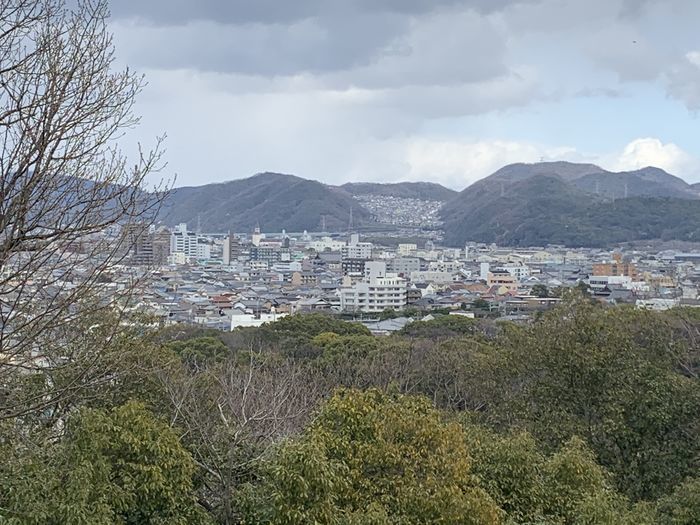 f:id:monhime:20200316143929j:plain f:id:monhime:20200316143929j:plain