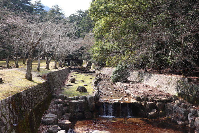 f:id:monhime:20200318212034j:plain f:id:monhime:20200318212034j:plain